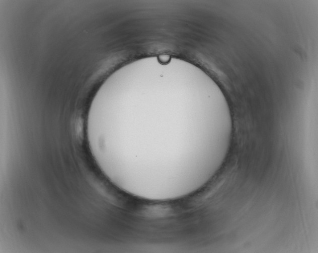 X0000113870067200910221343
