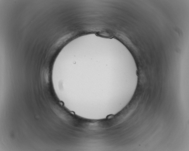 X0000113870068200910221343