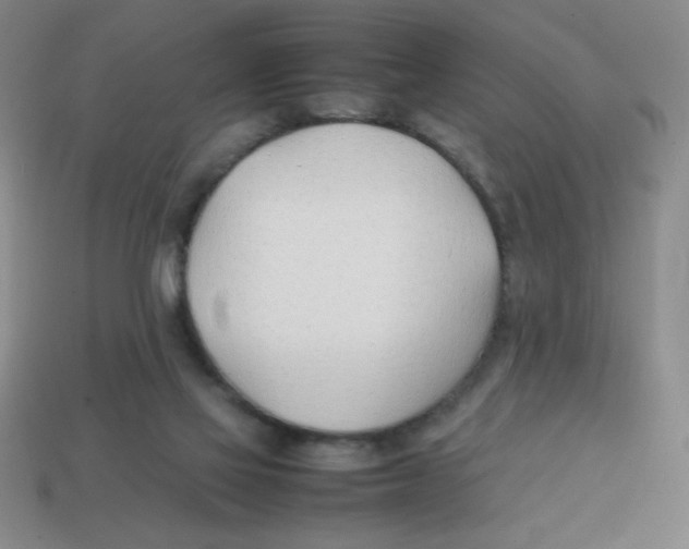 X0000113870069200910221343