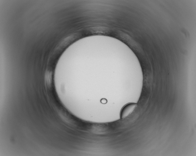 X0000113870070200910221343