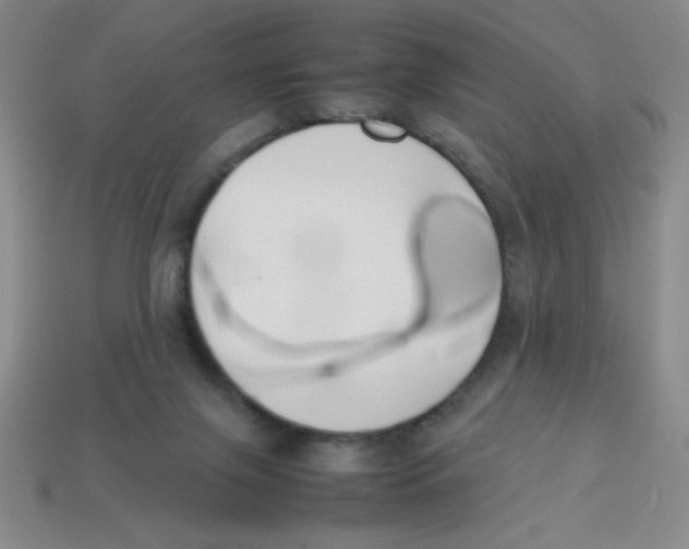 X0000113870071200910221343