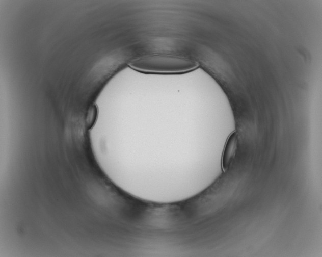 X0000113870072200910221343
