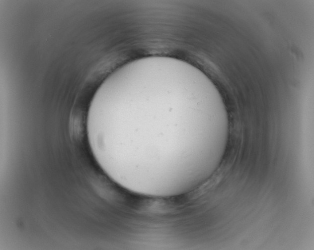X0000113870074200910221343