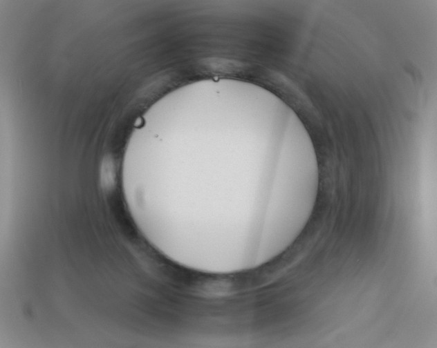 X0000113870075200910221343