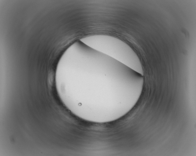 X0000113870076200910221343