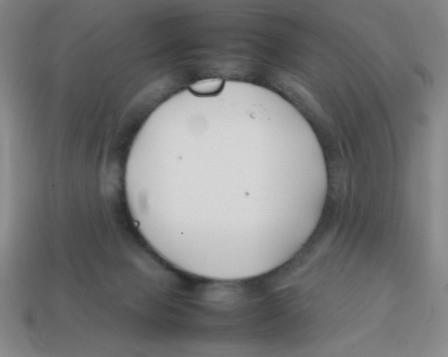 X0000113870077200910221343