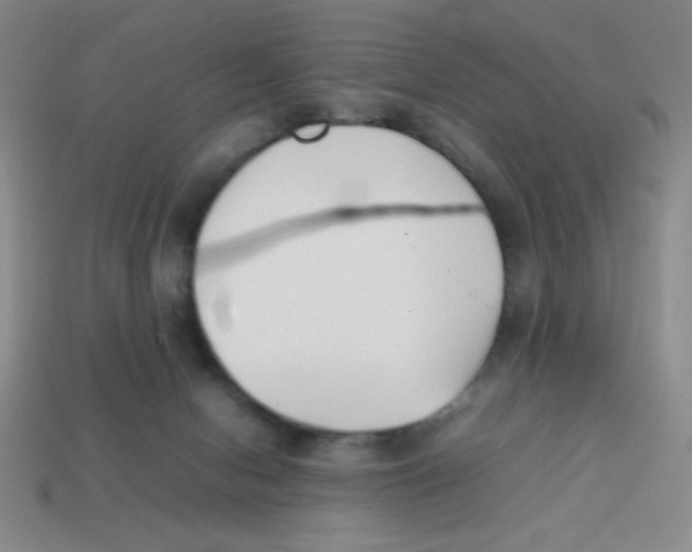 X0000113870078200910221343