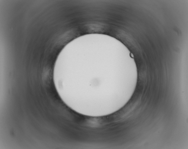 X0000113870079200910221343