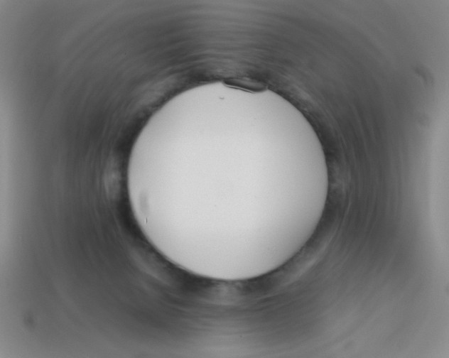 X0000113870080200910221344
