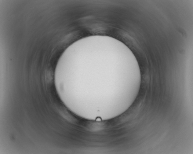 X0000113870081200910221344