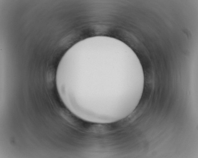 X0000113870082200910221344