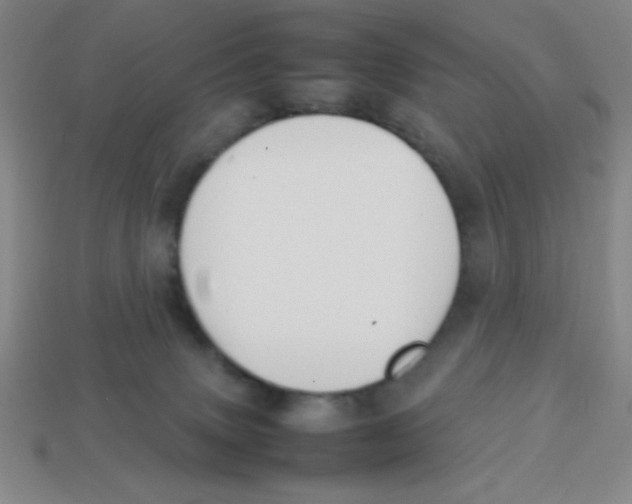 X0000113870083200910221344