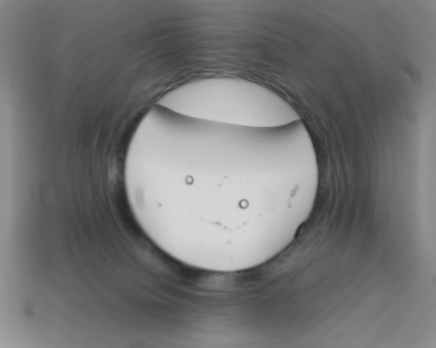 X0000113870084200910221344