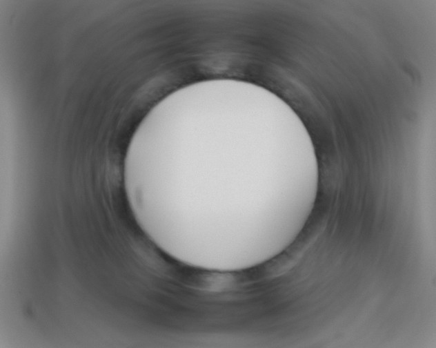 X0000113870085200910221344