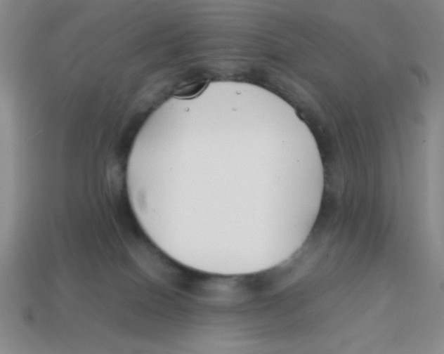 X0000113870086200910221344