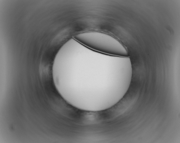 X0000113870088200910221344