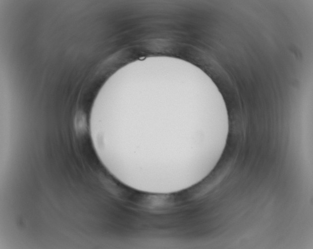 X0000113870089200910221344