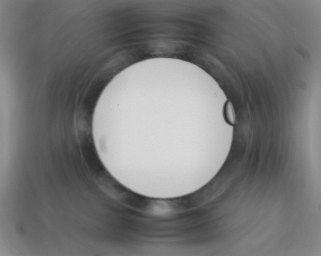 X0000113870091200910221344