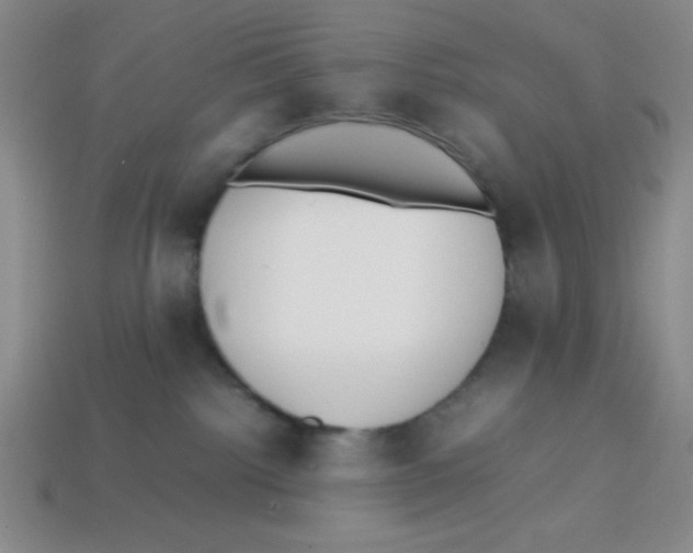 X0000113870092200910221344