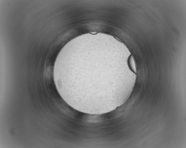 X0000113870093200910221344