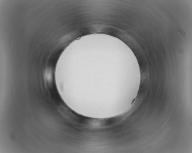 X0000113870094200910221344