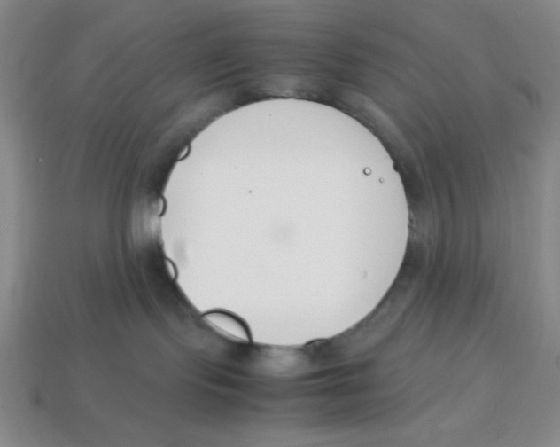 X0000113870095200910221344