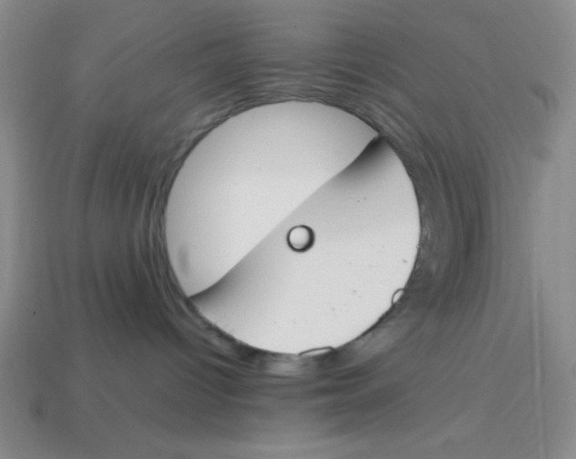 X0000113870096200910221344