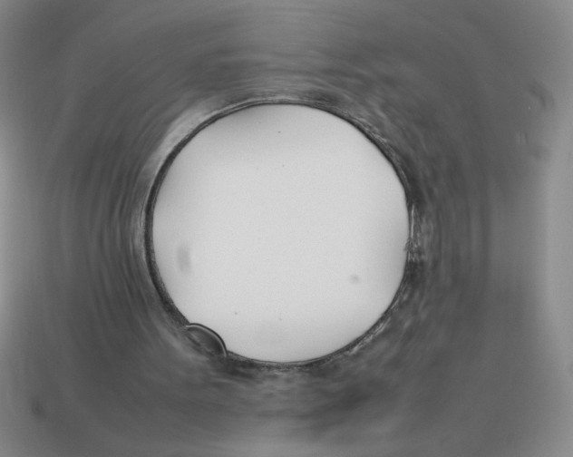 X0000113870099200910221343