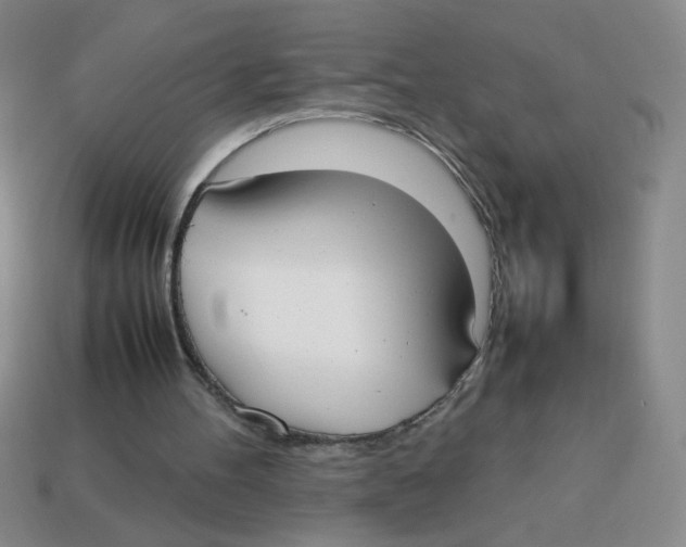 X0000113870100200910221343