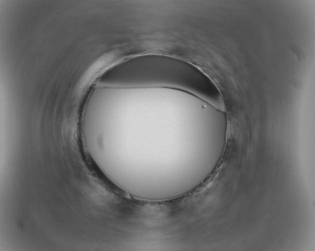 X0000113870101200910221343
