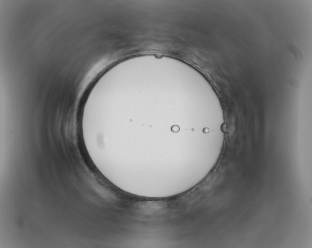 X0000113870102200910221343
