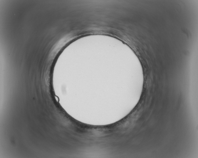 X0000113870103200910221343