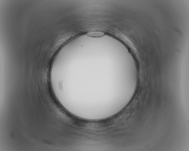 X0000113870105200910221343