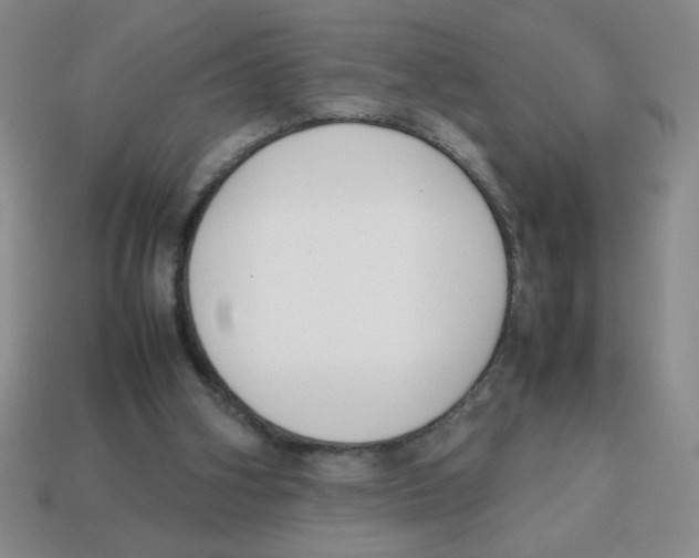 X0000113870106200910221343