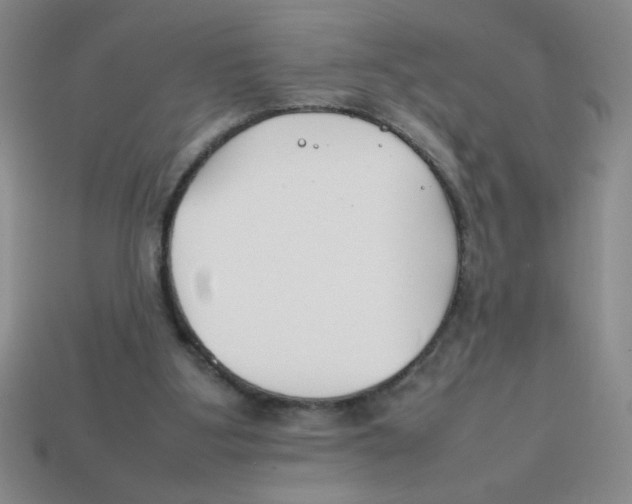 X0000113870107200910221343