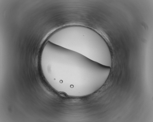 X0000113870108200910221343