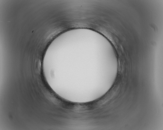 X0000113870109200910221343