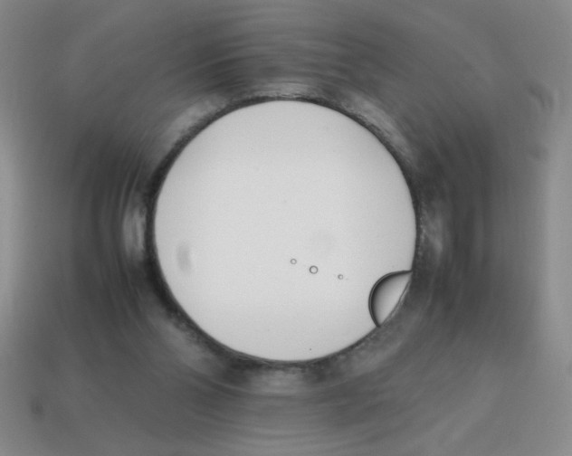 X0000113870110200910221343