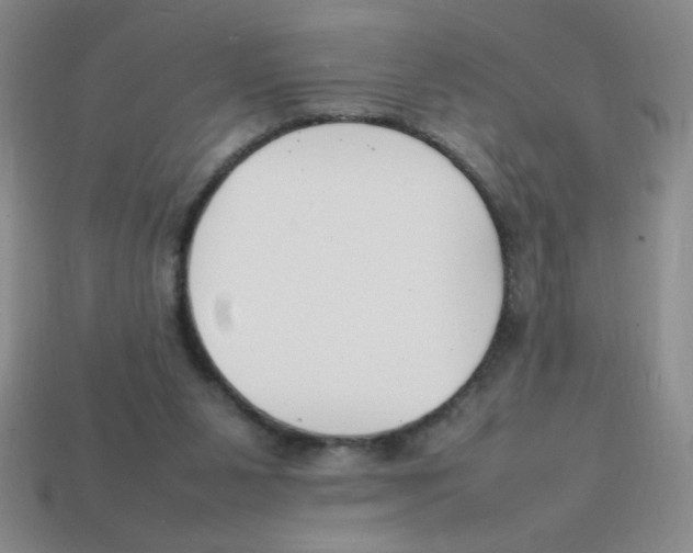 X0000113870111200910221343