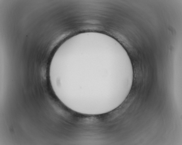 X0000113870112200910221343