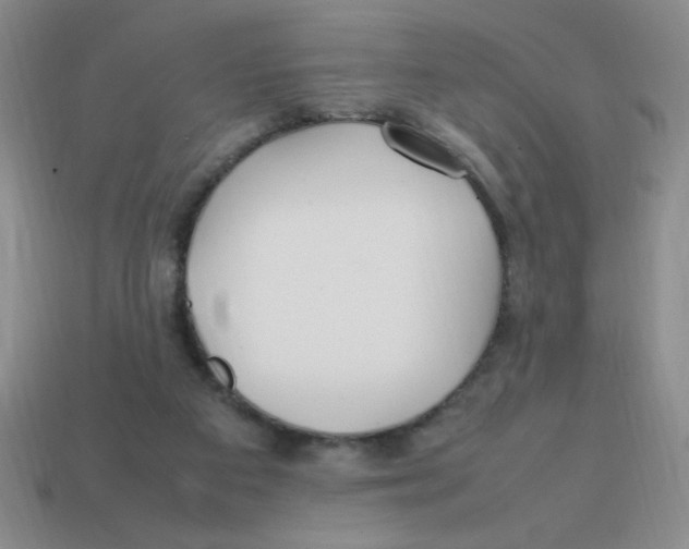 X0000113870113200910221343