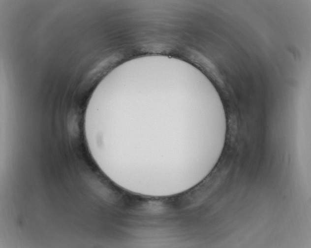 X0000113870114200910221343