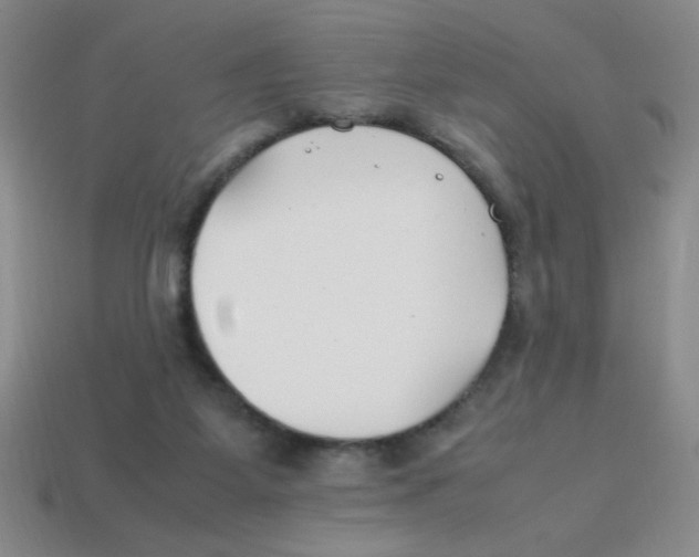 X0000113870115200910221343