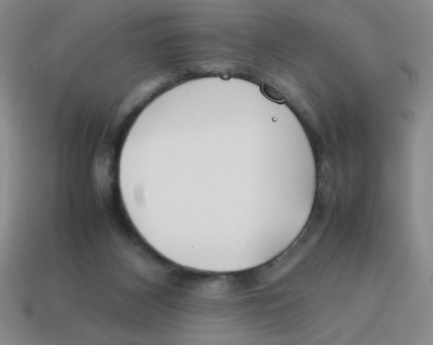 X0000113870116200910221343