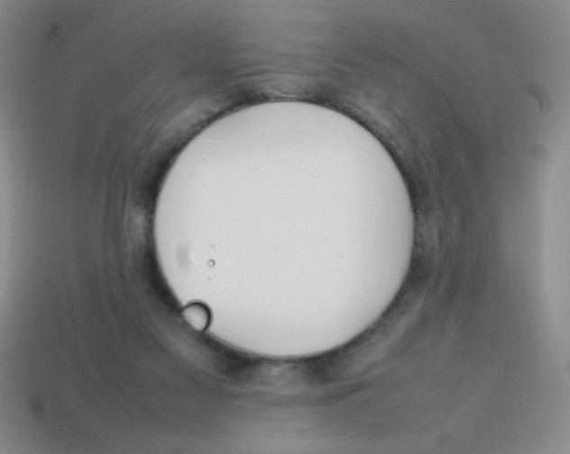 X0000113870117200910221343