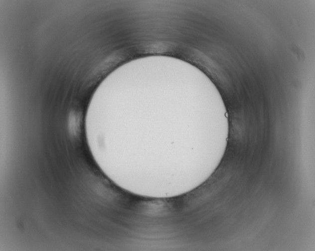 X0000113870118200910221343