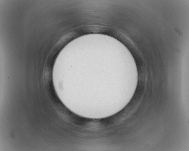 X0000113870119200910221343