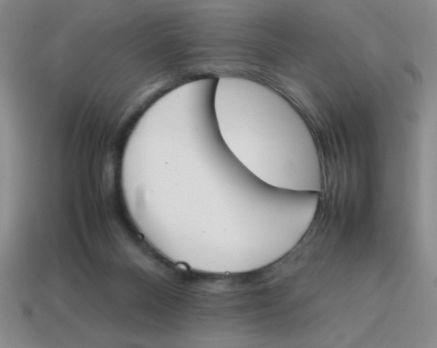 X0000113870120200910221343