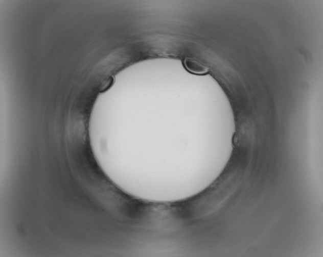 X0000113870121200910221343