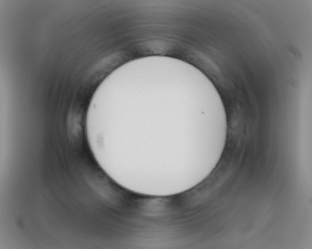 X0000113870122200910221343